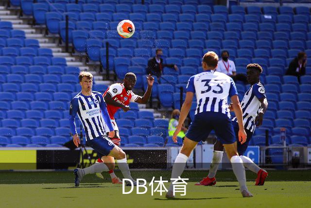 DB体育公司简介